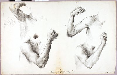 Études des quatre bras, #1 - Solon H. Borglum