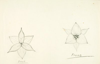 Cadre de la fleur - Solon H. Borglum