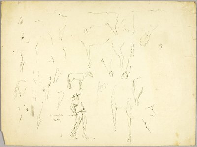 Étude sur les chevaux - Solon H. Borglum