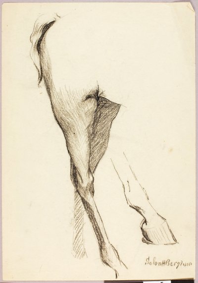 Étude sur les chevaux - Solon H. Borglum