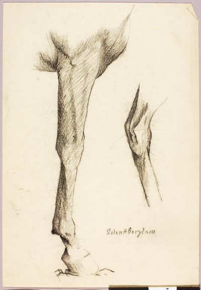 Étude sur les chevaux - Solon H. Borglum