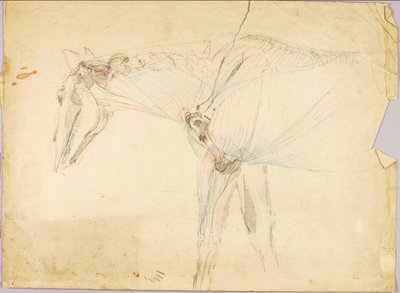Étude sur les chevaux - Solon H. Borglum