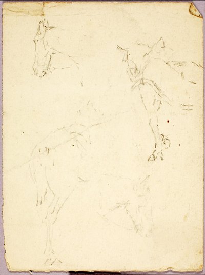 Chevaux - Solon H. Borglum