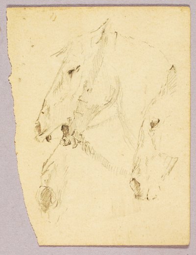 Têtes de chevaux - Solon H. Borglum