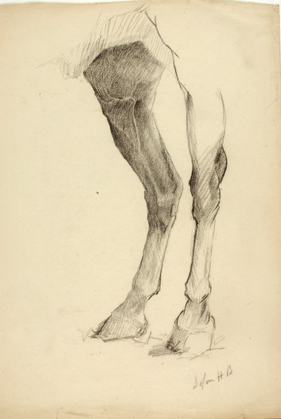 Jambe de cheval - Solon H. Borglum