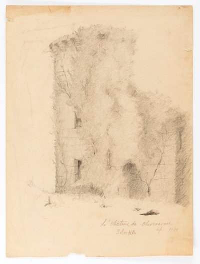 Le Chateau de Chevenevase - Solon H. Borglum