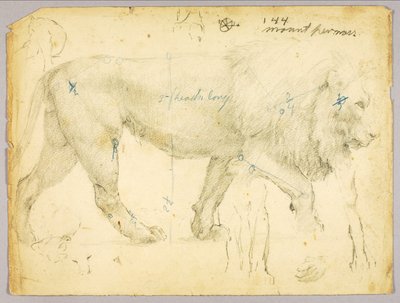 Lion - Solon H. Borglum