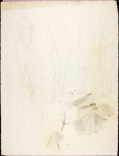 Nus et feuilles - Solon H. Borglum