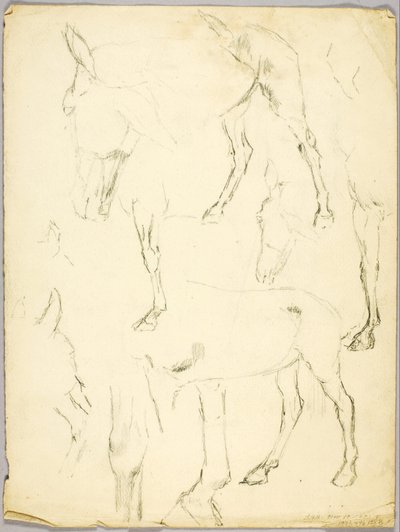 Étude de portrait, Étude de cheval - Solon H. Borglum