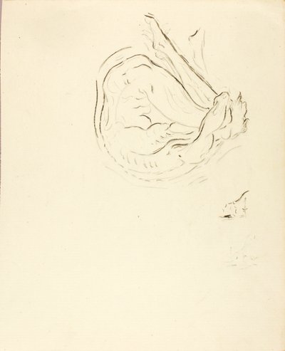 Nageur - Solon H. Borglum