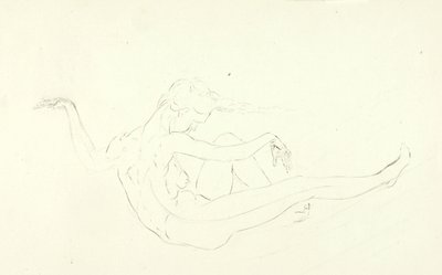 Nager nu - Solon H. Borglum