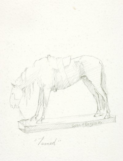 Tamed - Solon H. Borglum