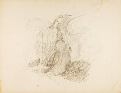Sans titre - Solon H. Borglum