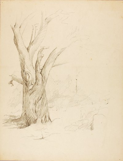 Sans titre - Solon H. Borglum