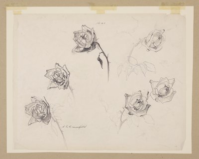 Étude de Roses - Sophia L. Crownfield