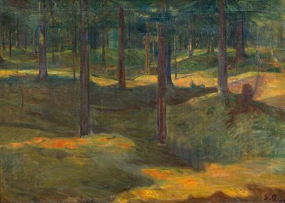 Forêt de Frognerseter - Soren Onsager