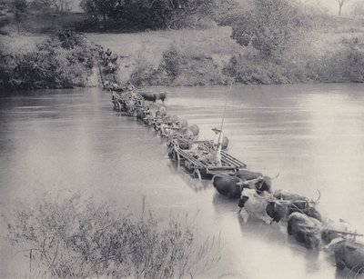 Comment les rivières sont traversées dans le Transvaal - South African Photographer