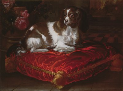Épagneul sur un coussin - Spanish School