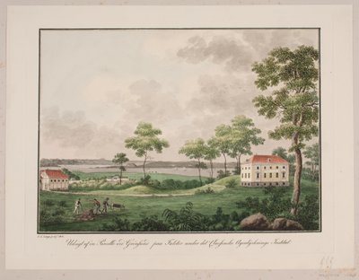 Vue d