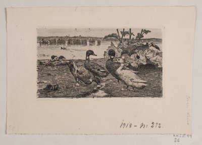 Canards - Søren Lund