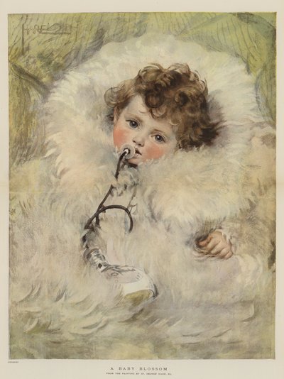 Un bébé fleur - St. George Hare