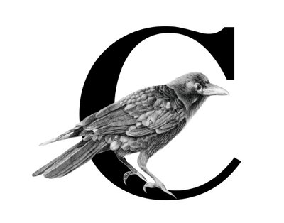 C est pour Corbeau - Stacy Hsu