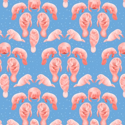 Motif de lamantin, 2023 - Stacy Hsu