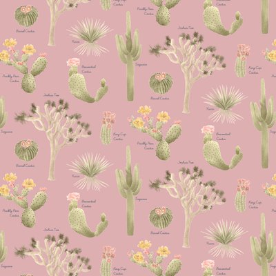 Motif de cactus du désert de Mojave, 2021 - Stacy Hsu