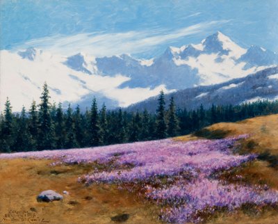 Crocus avec montagnes enneigées en arrière-plan - Stanislaw Ignacy Witkiewicz
