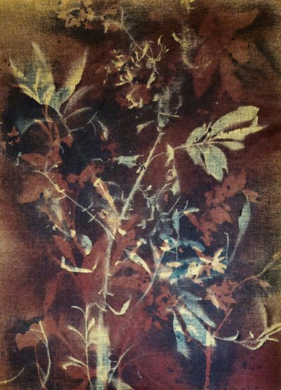  - Stefano Mazzolini