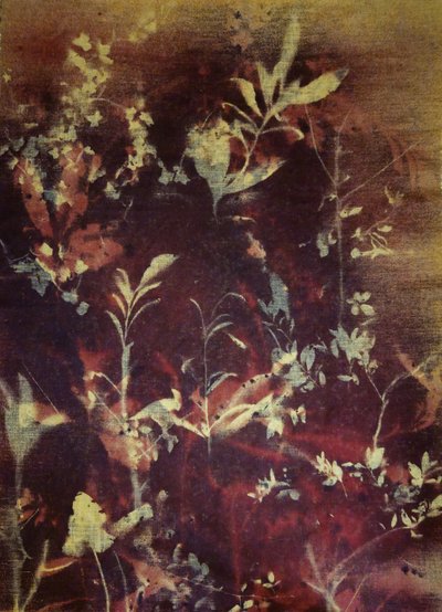  - Stefano Mazzolini
