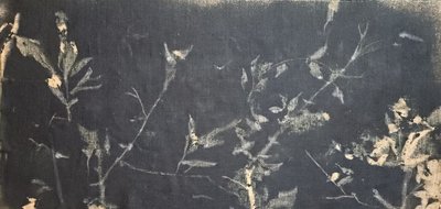  - Stefano Mazzolini