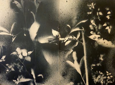  - Stefano Mazzolini