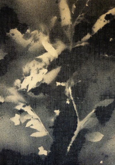  - Stefano Mazzolini