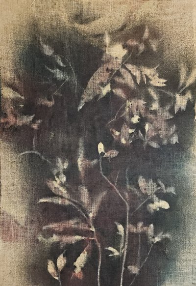  - Stefano Mazzolini