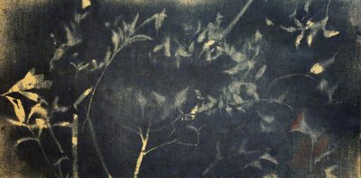  - Stefano Mazzolini