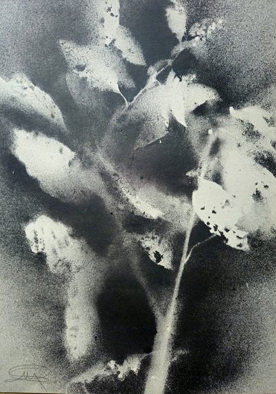  - Stefano Mazzolini