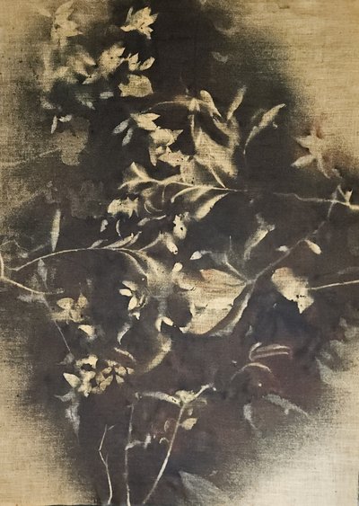 Ombres florales mélancoliques - Stefano Mazzolini