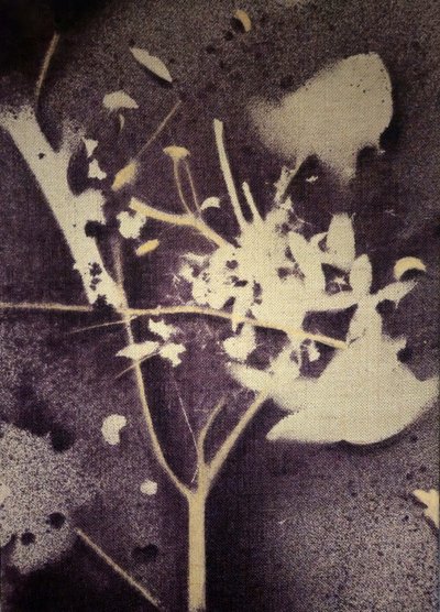  - Stefano Mazzolini