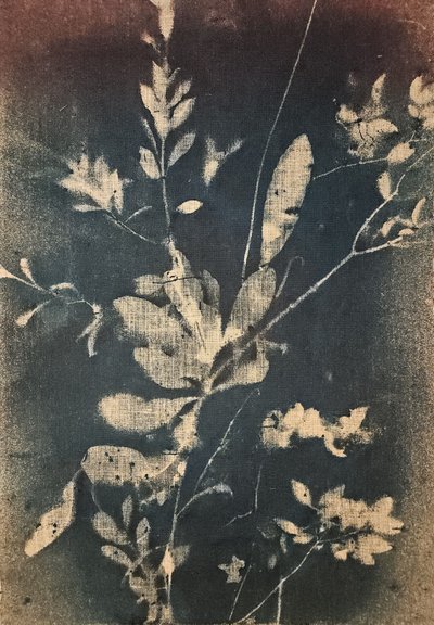  - Stefano Mazzolini