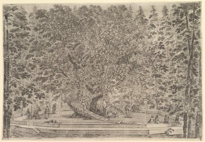 Un grand arbre habité au centre avec des rampes autour du tronc, en bas un chemin de pierre, vers 1653 - Stefano della Bella