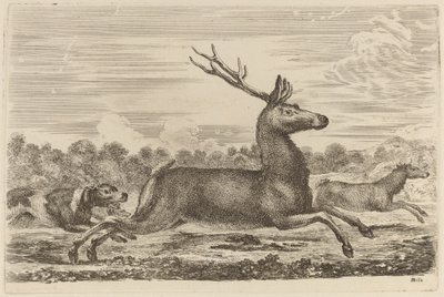 Cerf Poursuivi par Deux Chiens à Gauche - Stefano della Bella