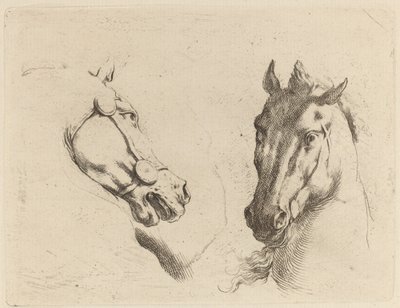Tête de cheval vue de profil et en trois quarts - Stefano della Bella