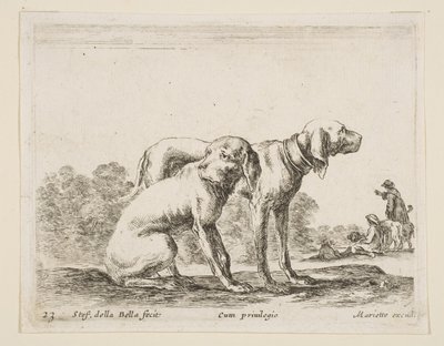 Deux chiens, de Diversi animali - Stefano della Bella