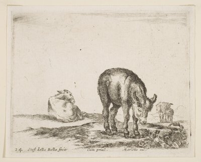 Ânes, de Divers animaux, vers 1641 - Stefano della Bella