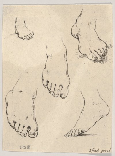 Planche 7 : Cinq pieds, du Livre pour apprendre à dessiner - Stefano della Bella