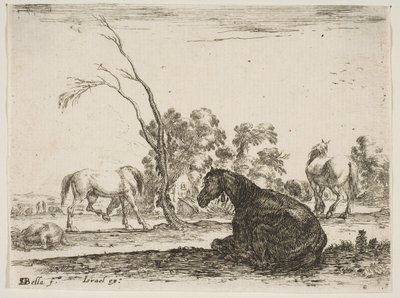Planche 8 : un cheval assis à droite, vu de derrière et tourné vers la gauche, trois autres chevaux..., 1642 - Stefano della Bella