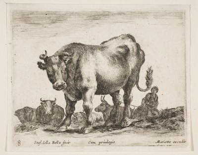 Planche 8 : vache, de Divers animaux Diversi animali, vers 1641 - Stefano della Bella