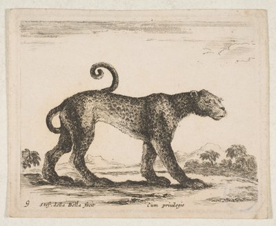 Planche 9 : léopard, de 