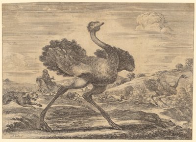 Chasse à l